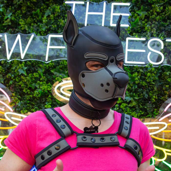 Photograph of Pup Max.